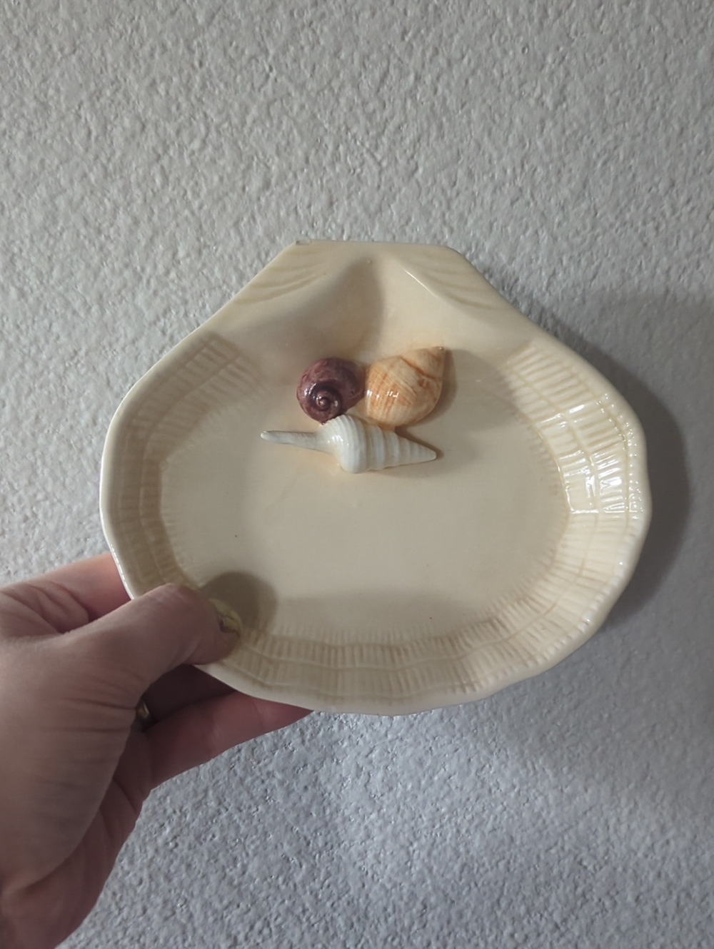 Seashell Accent Trinket Dish in Cream with Shell Accents